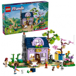 LEGO FRIENDS DOM...