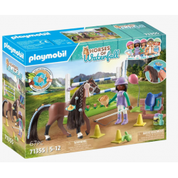 Playmobil Horses of...