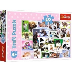 TREFL Puzzle 60 el. CATS,...